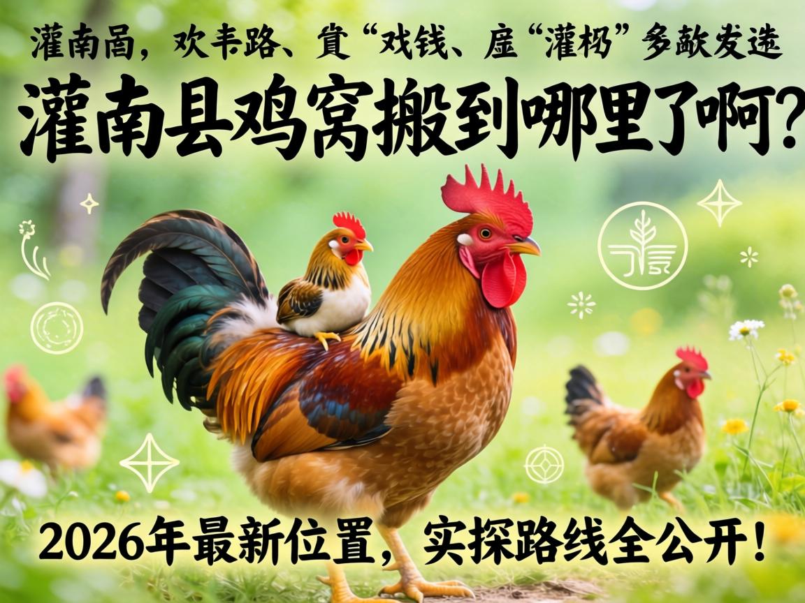 灌南县鸡窝搬到哪里了啊？2026年最新位置、实探路线全公开！